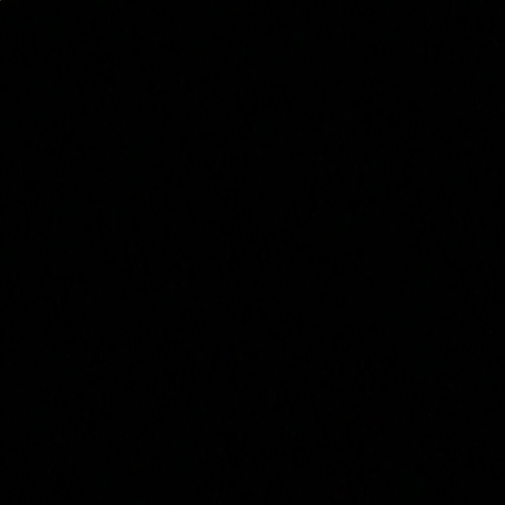 Meet your Posher, Trevor